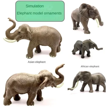 Laukinės gamtos gyvūnų žaislų figūrėlė: Azijos dramblio, Afrikos dramblio ir dramblio karvės modeliai kolekcionieriams