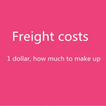 Užsakymo kaina / Speciali krovinių gabenimo nuoroda, užpildykite skirtumą, pristatymo kaina Honkongui / Oro paštui / DHL / FedEx /